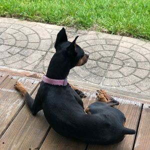 Meet your Posher, Samantha